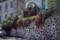 CI_CL_La_Palma_Blumenmauer