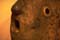CI_CL_La_Palma_Mondfisch