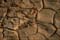 CI_CL_Lanzarote_Trockenheit