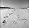 DK_SW_img058