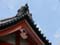 JP_DRM_240