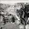 TR_SW_GrandCanyon1