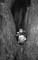 TR_SW_Linde_Amoenau02