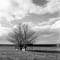 TR_SW_img621