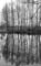 TR_SW_img708