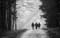 TR_SW_img735