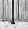 WI_SW_img893