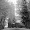 WI_SW_img894