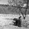 WK_SW_Schaefer02